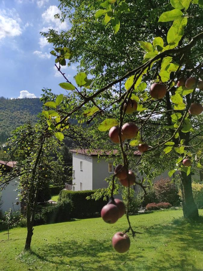 Apartamenty Kotarz Brenna Bagian luar foto