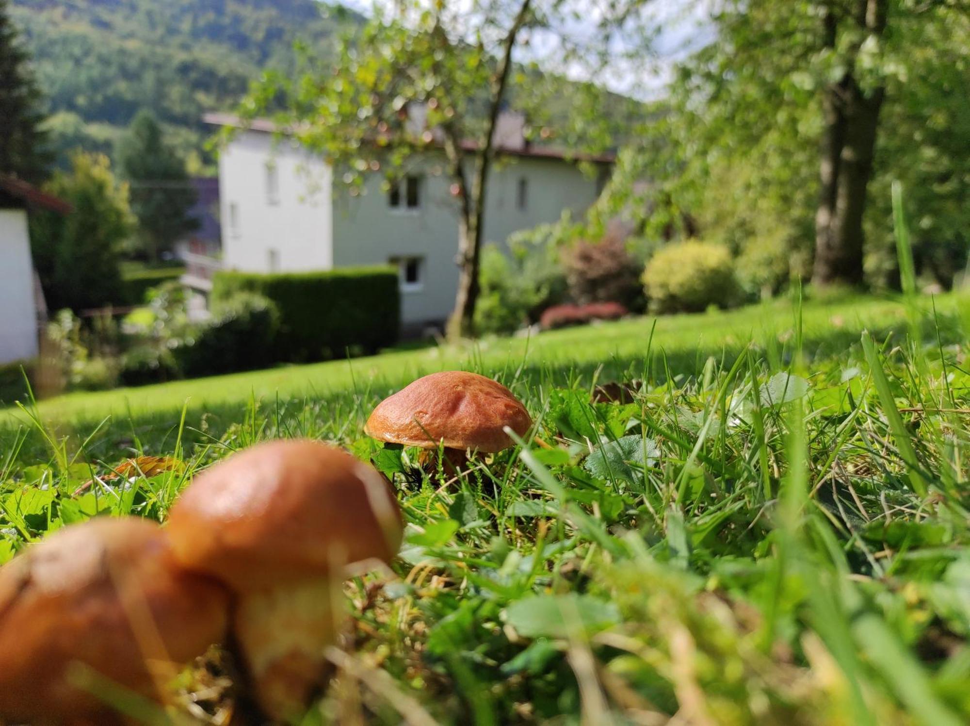 Apartamenty Kotarz Brenna Bagian luar foto